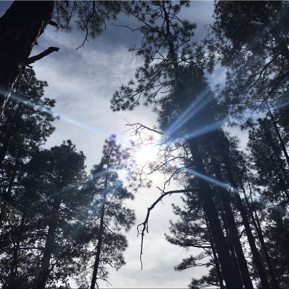 Meet your Posher, Payton - Picture 1 of 1